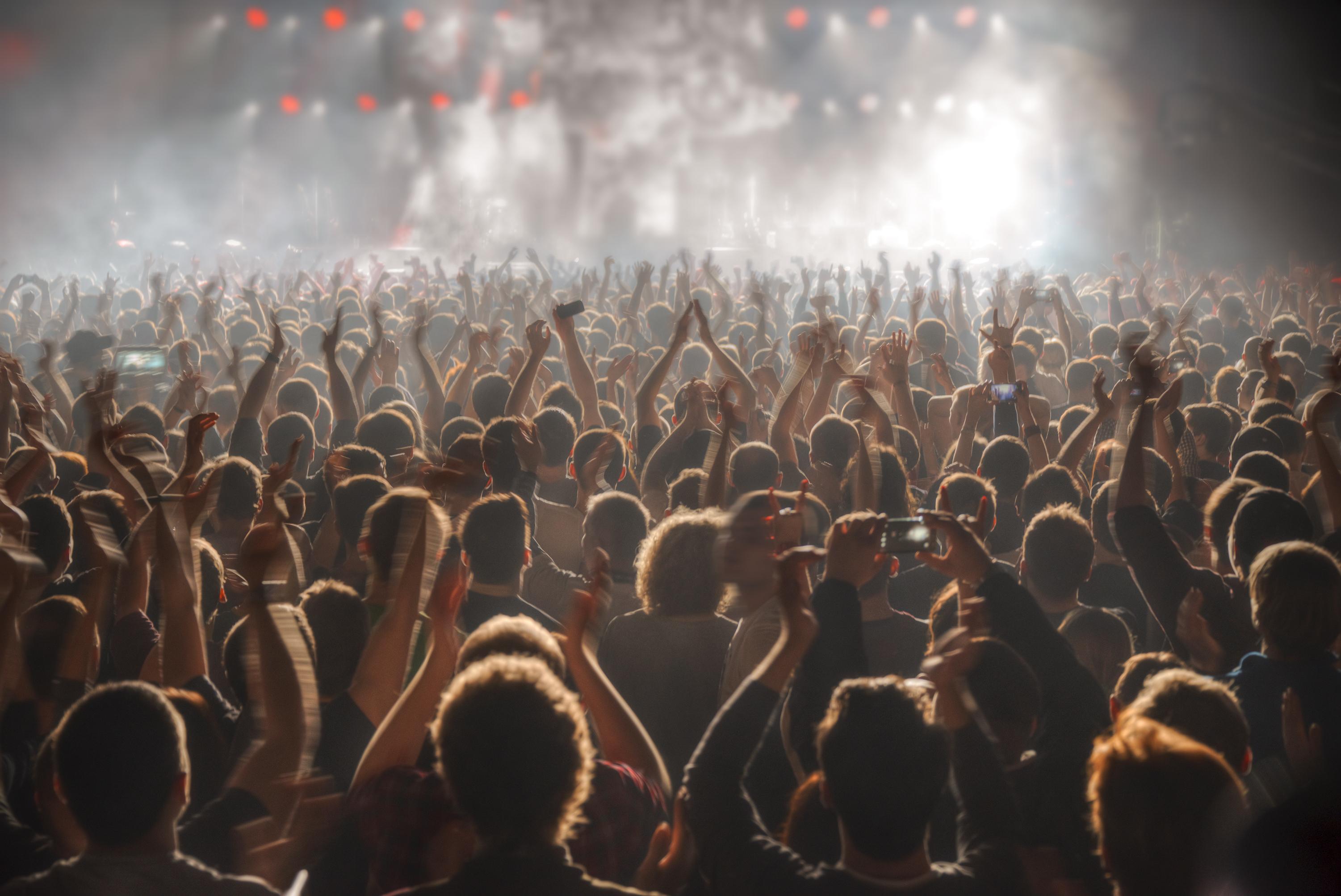 Audience at a concert