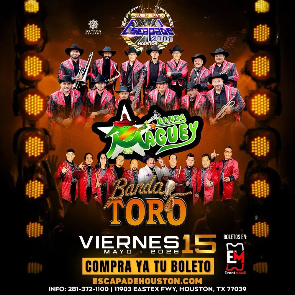 Banda Maguey y Banda Toro